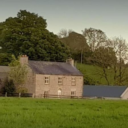 The Hollow Tullow Exterior photo